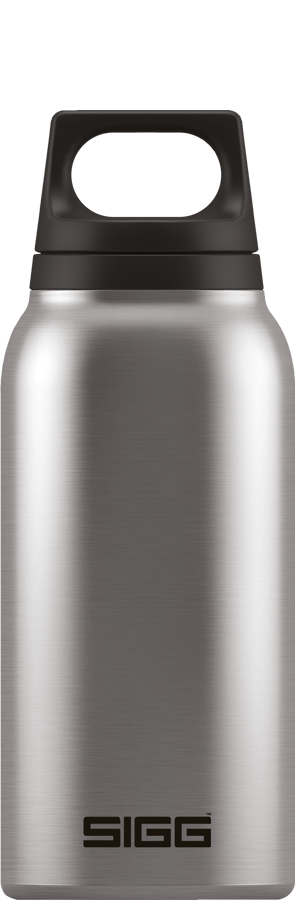 Thermo Flask Hot & Cold Brushed 0.3l