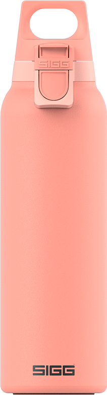 Thermo Trinkflasche Hot & Cold ONE Light Shy Pink 0.55 L