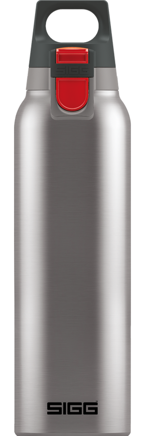 Thermo Flask Hot & Cold ONE Brushed 0.5l-17oz