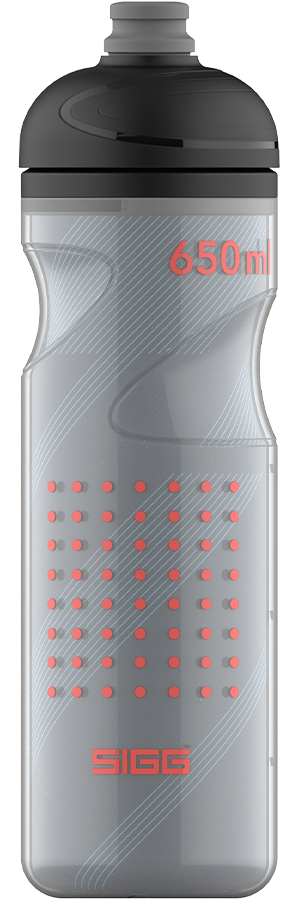 Water Bottle Pulsar Therm Night 0.65 L