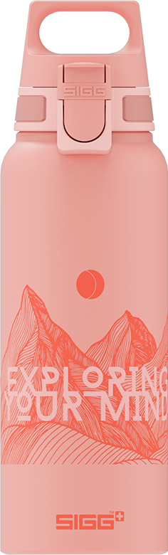 Trinkflasche WMB Pathfinder Shy Pink 1.0 L