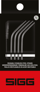 Stainless Steel Straw Set (4)