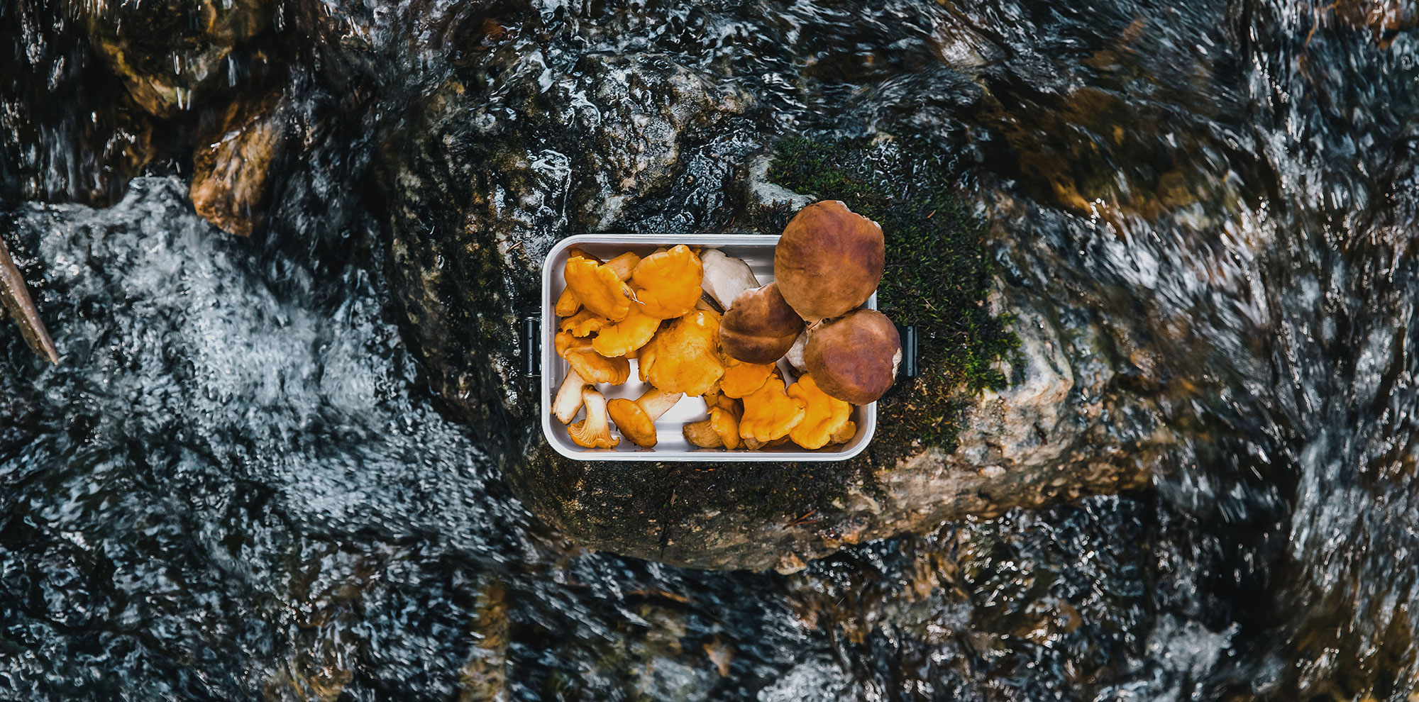 Tendance alimentaire «Meal Prep»: actuellement sur toutes les lèvres