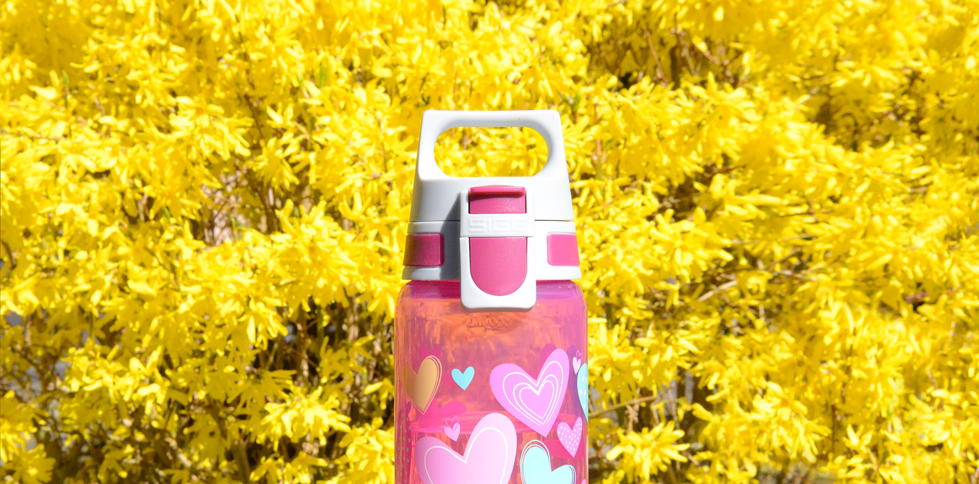 More sustainable gifts: Colorful Easter with SIGG 